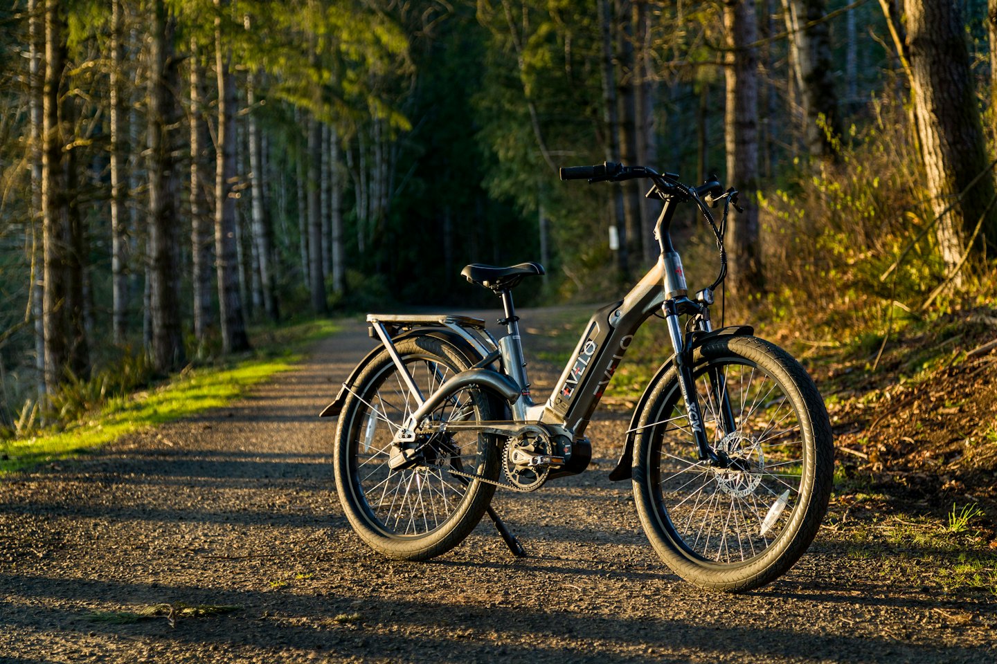 Ein Elektrofahrrad, das auf einem sonnigen Waldweg geparkt ist.