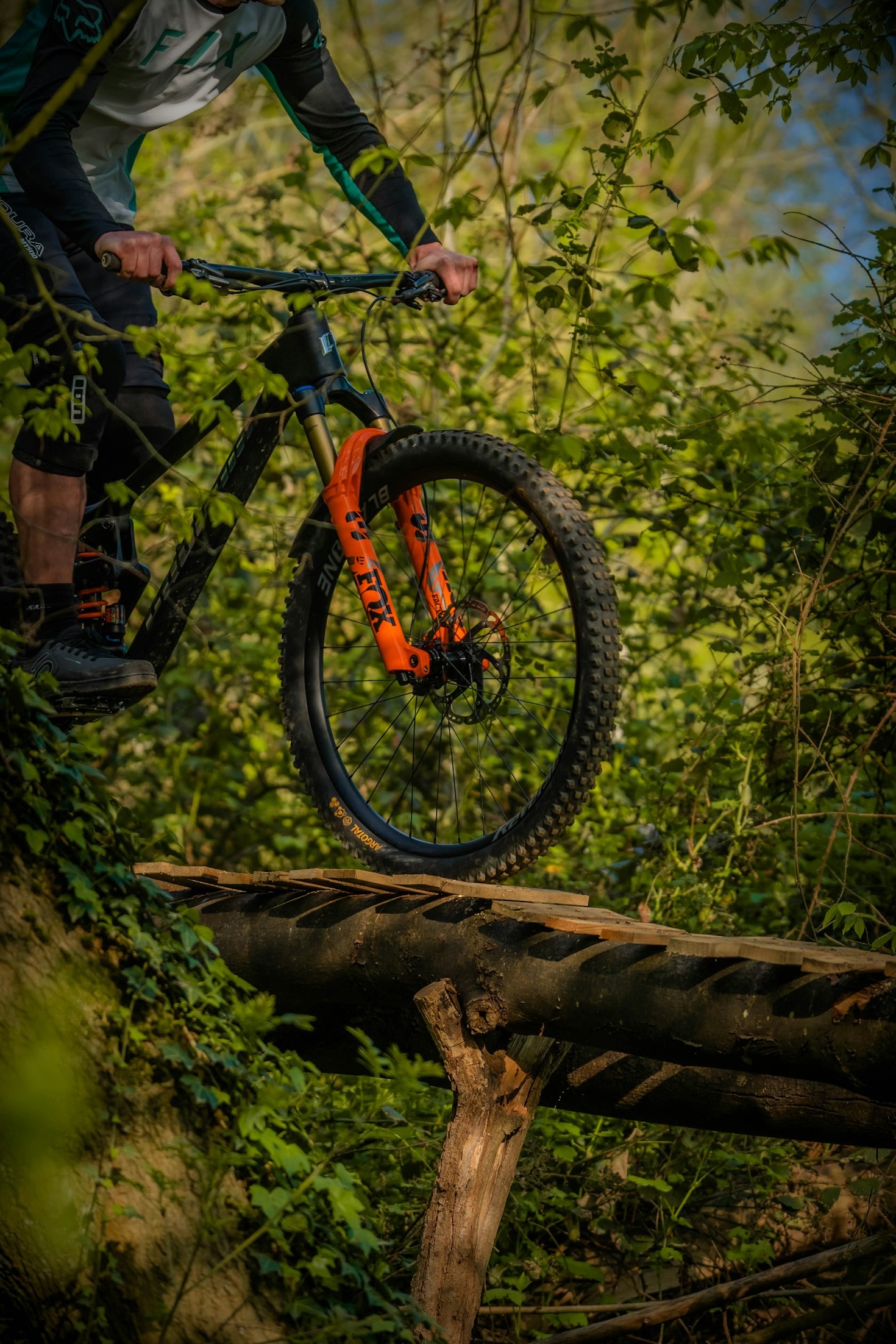 E-Bikes im Praxistest: Welche Modelle 2025 überzeugen